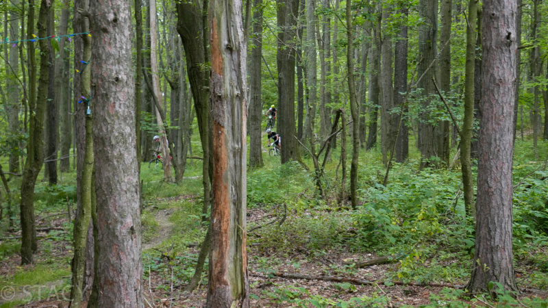 P1170888LR PF.jpg