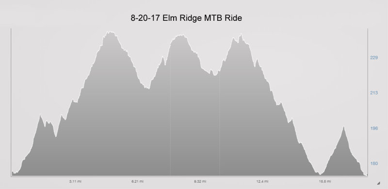 8-20-17 elm ridge elevation.jpg