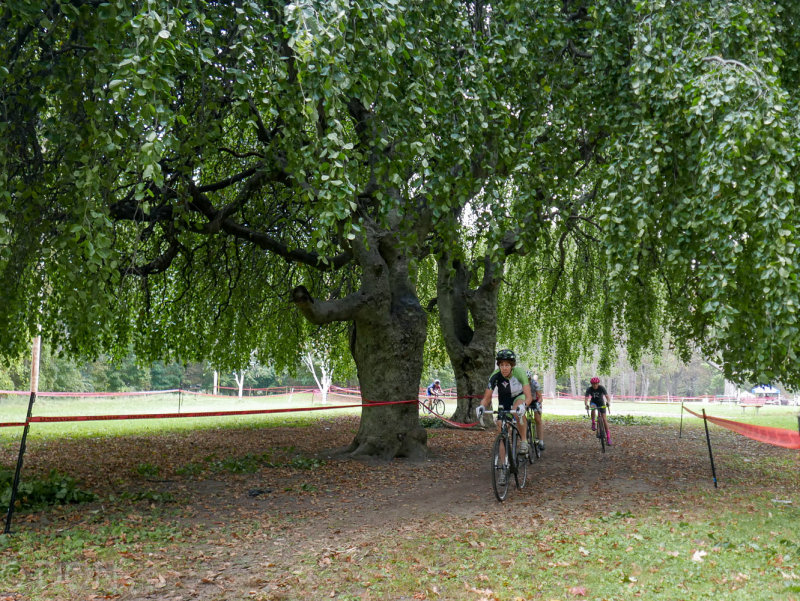 P1190641LR PF.jpg