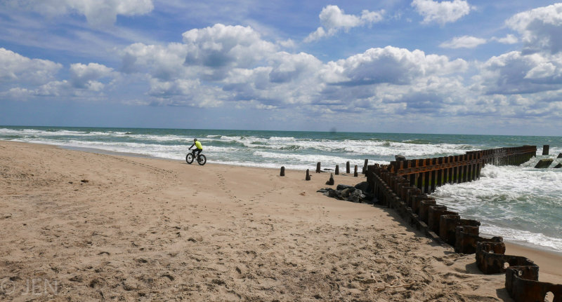 P1210463LR PF.jpg