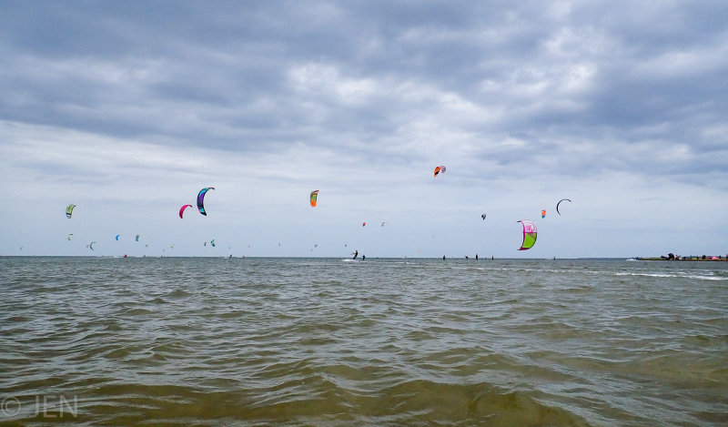 P4231681LR PF.jpg
