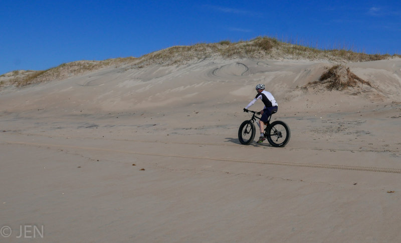P1210521LR PF.jpg
