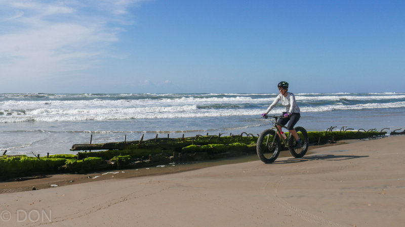 P1210530LR PF.jpg