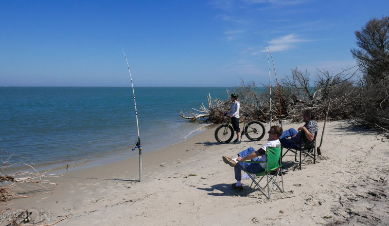 P1210550LR PF.jpg