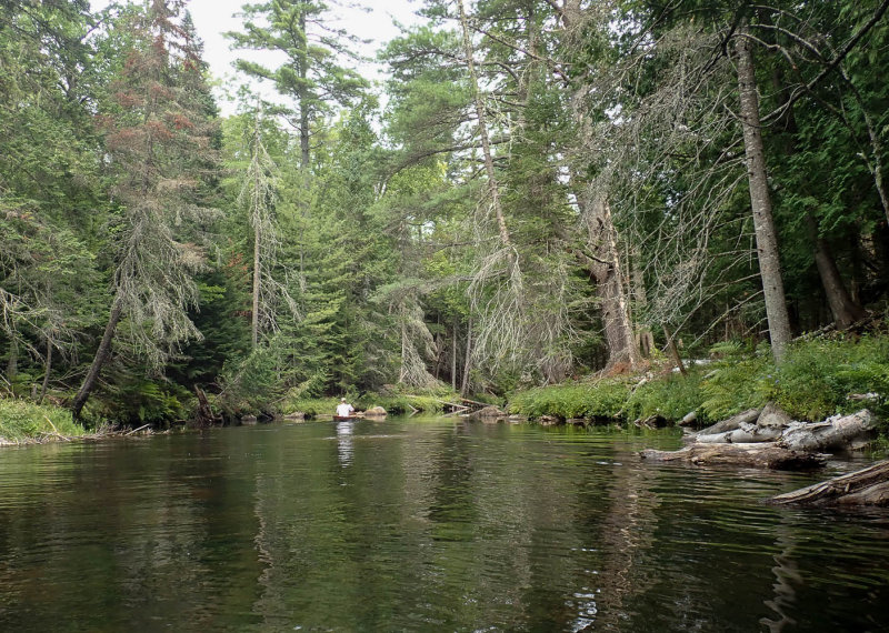 P8270985 MLR.jpg