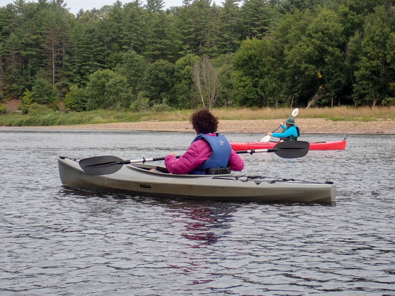 P9081417_MLR.jpg