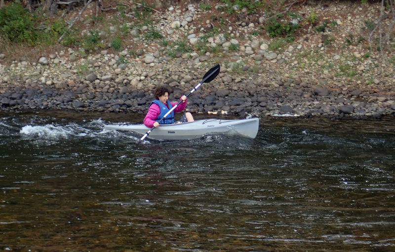 P9081411_MLR.jpg