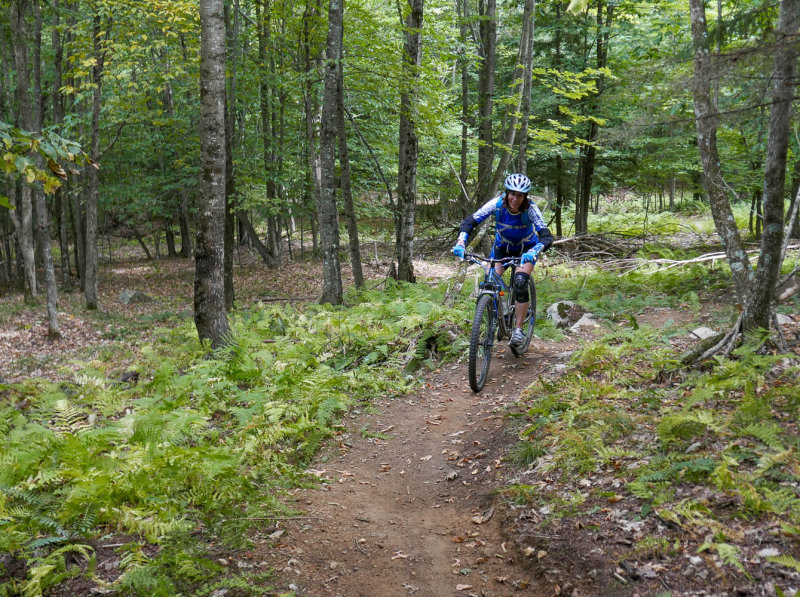 P1220145_MLR.jpg