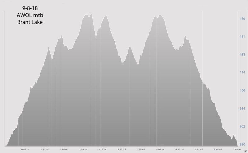 9818_Brant_Lake_elevation.jpg