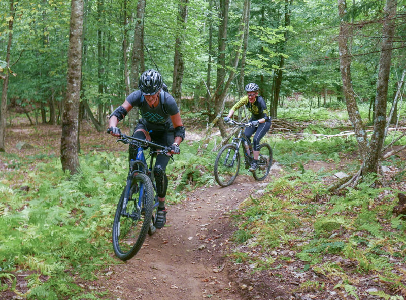 P1220152 MLR.jpg
