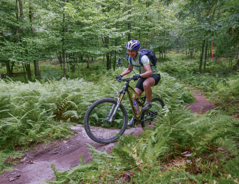P1220155 MLR.jpg