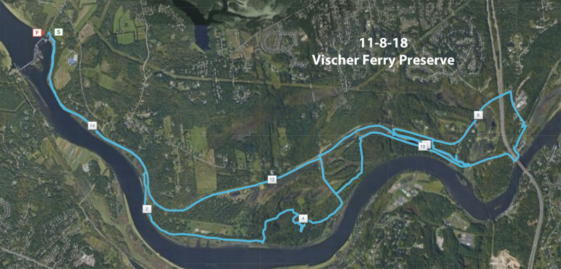 11818_Vischer_Ferry.jpg