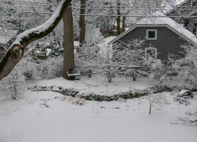 P1150275LR PF.jpg