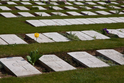 MILL ROAD CEMETERY