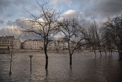 INONDATION DE LA SEINE