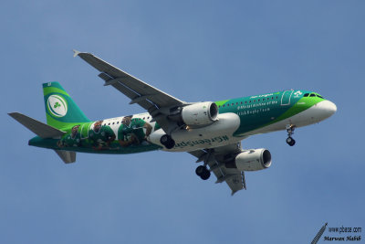 Airbus A320 Aer Lingus Rugby