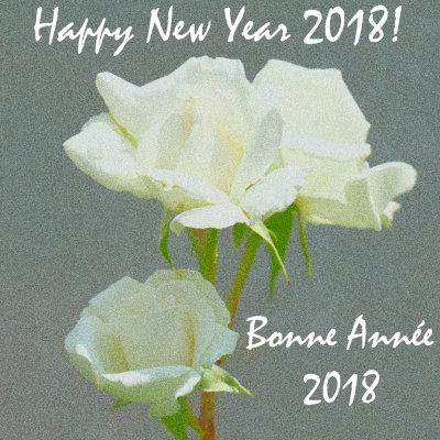 01-01-2018 : Happy New Year 2018! / Bonne Anne 2018!