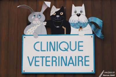 Veterinary Clinic / Clinique Vétérinaire