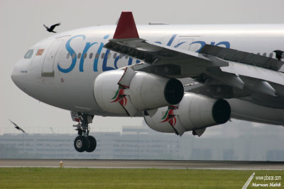 Airbus A340-300 SriLankan Airlines