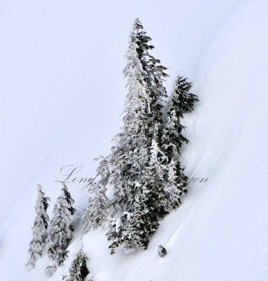 Climbing the Steep Slope 198 