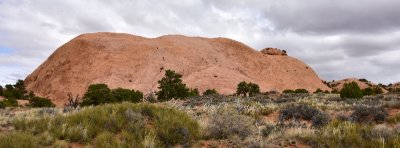 Whale Rock at Canyonlands National Park Moab Utah 344 