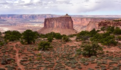 Holeman Spring Basin from Island in the Sky, Canyonlands National Park, Moab, Utah 349 