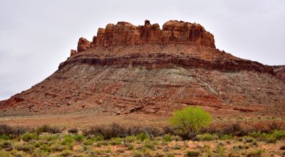 Mesa along Moab Canyon Moab Utah 487  