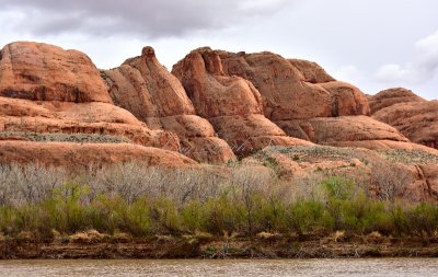 King Bottom and Colorado River Moab Utah 501  