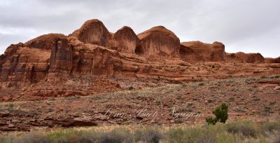 Bowtie Arch Moab Utah 564  