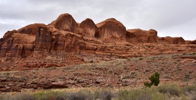 Bowtie Arch Moab Utah 564