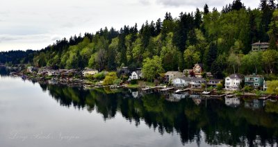 Glassy Water landing along Lake Sammamish Washington 051