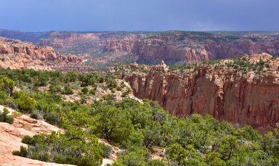 Tsegi Canyon and Fir Canyon Navajo National Monument Shonto Arizona 299  