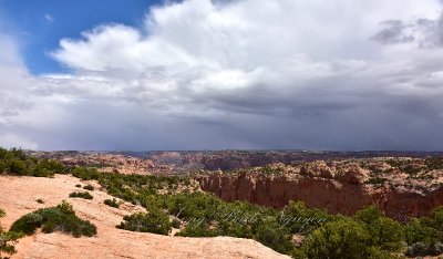 Tsegi Canyon and Fir Canyon Navajo National Monument Shonto Arizona 297  