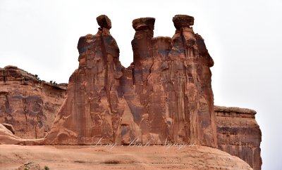 The Gossips at Arches National Park Moab Utah 290  