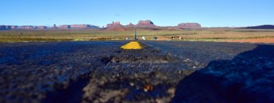 Monument Valley from Forrest Gump Hill on Highway 163 Navajo Nation Utah 049  