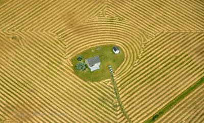 Farm on Whidbey Island Washington 339  