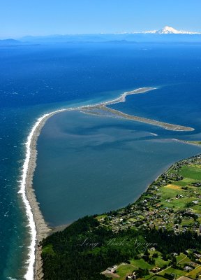 Dungeness Spit and New Dungeness Lighthouse Reservation Mt Baker  Washington 142  