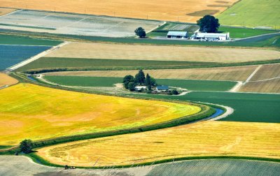 Skagit Valley Farmland Washington 016  