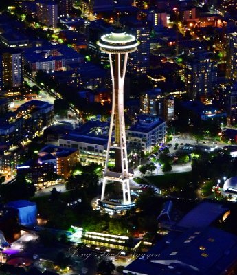 Space Needle at Night 415