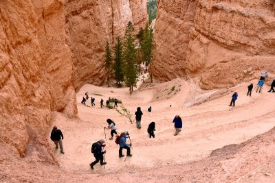 Switchback on trail at Bryce Canyon National Park Utah 280a