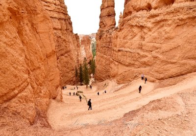 Switchback on trail at Bryce Canyon National Park Utah 281  