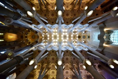La Sagrada Familia Ceiling Barcelona Spain 094