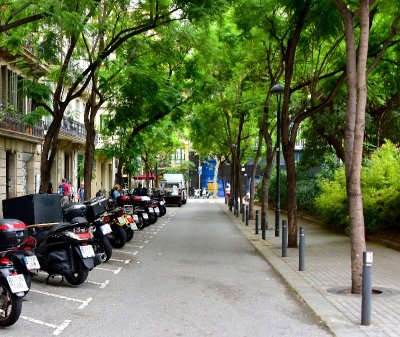 Trees covered street in Barcelona Spain 031