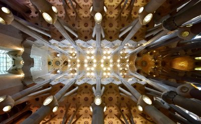 La Sagrada Familia Ceiling  Barcelona Spain 115a 