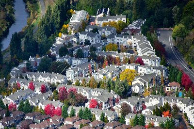 Autumn Foliages at Avignon Townhomes in Redmond Washington 048 