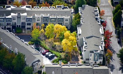 Beautiful Colors at Townhomes Redmond Washington 059  