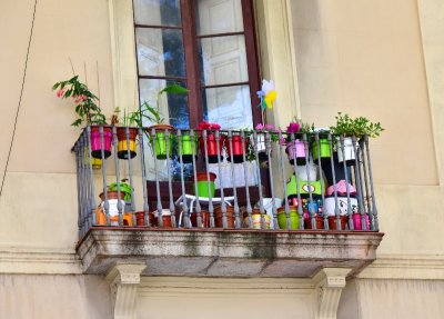 Flower pots on balcony in Barcelona 096  