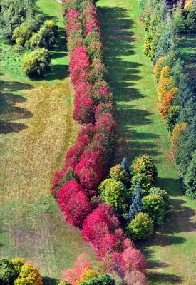 Driveway in North Bend Washington 248  