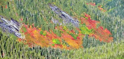 Fall foliage and colors near Three Fingers 072  