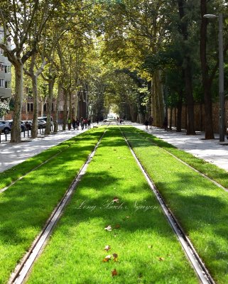 Street Car Rails along Carrer de Wellington Barcelona 126  